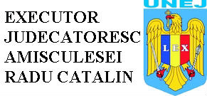 Bej Amisculesei Radu